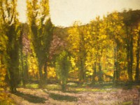 /album/cuadrosinagp3/a07-arboles-a-contraluz-jpg/